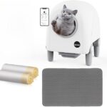 cat litter box