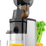 Best Masticating Juicer in Budget