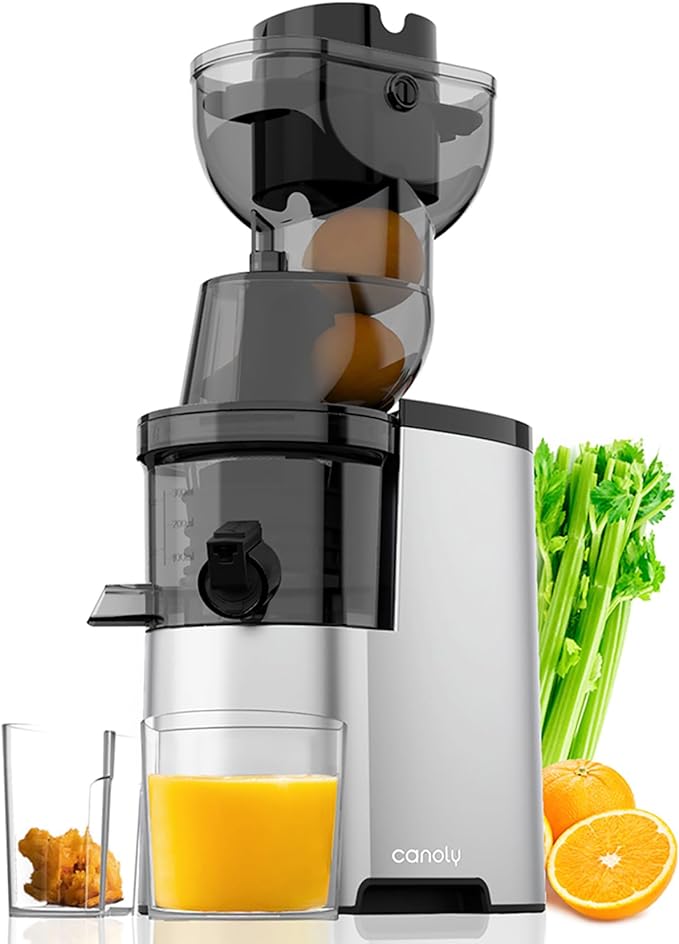 Best Masticating Juicer in Budget