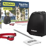 Best Electric Fence for Dogs