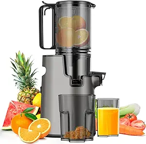 Masticating Juicer