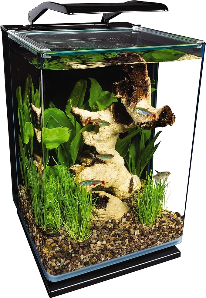 fish tank