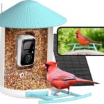 Top 3 Bird Feeder with Camera