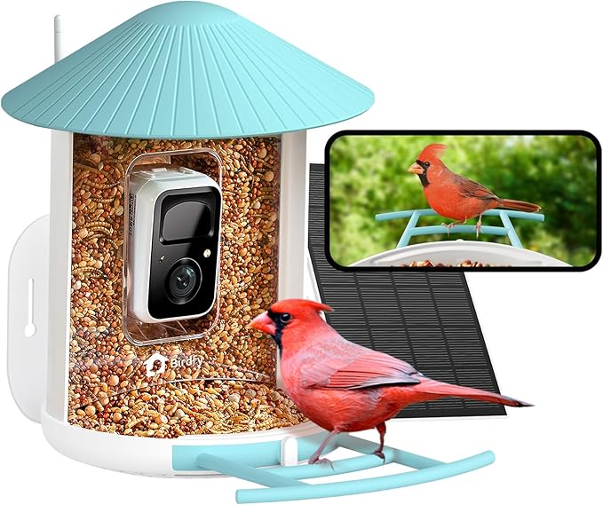 Top 3 Bird Feeder with Camera