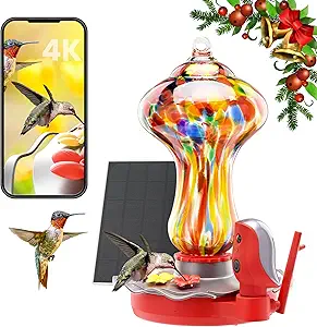 Glass Smart Hummingbird Feeder with 4K HD Camera Solar Powerd - AI