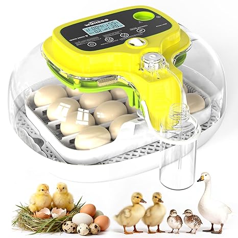 Egg Incubator for Hatching Eggs – 2026 Upgraded 16-Egg Automatic Incubator with Auto Turner, Digital Temperature & Humidity Control, LED Egg Candler for Chicken, Duck, Quail & Birds